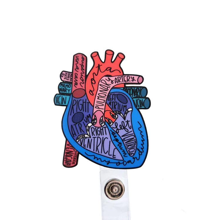 Heart Cardiovascular Badge Reel, Interchangeable Badge Reel Topper, Cute Retractable Badge Reel ID Holder for Nurse, Student, RN